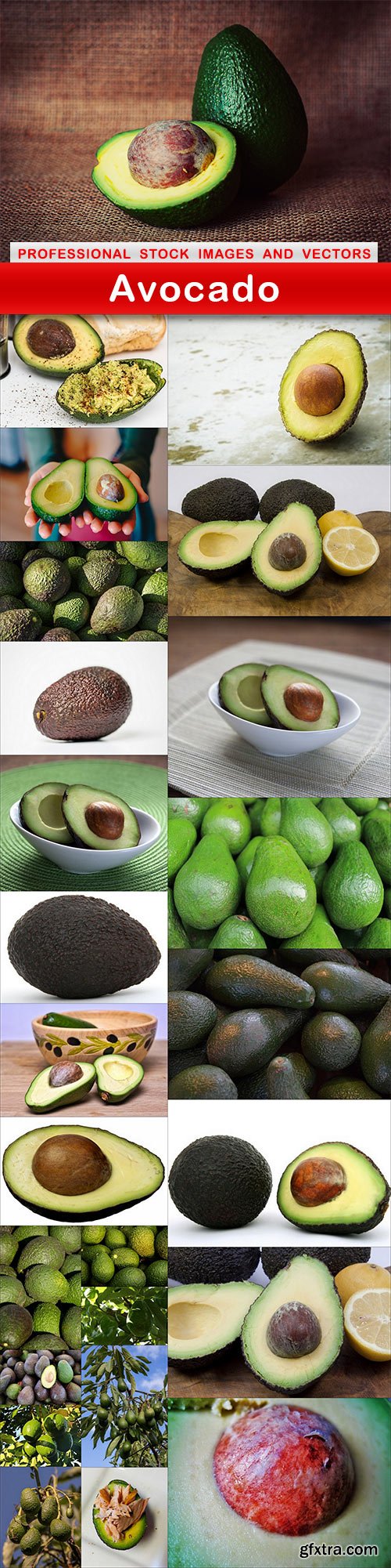 Avocado - 25 UHQ JPEG