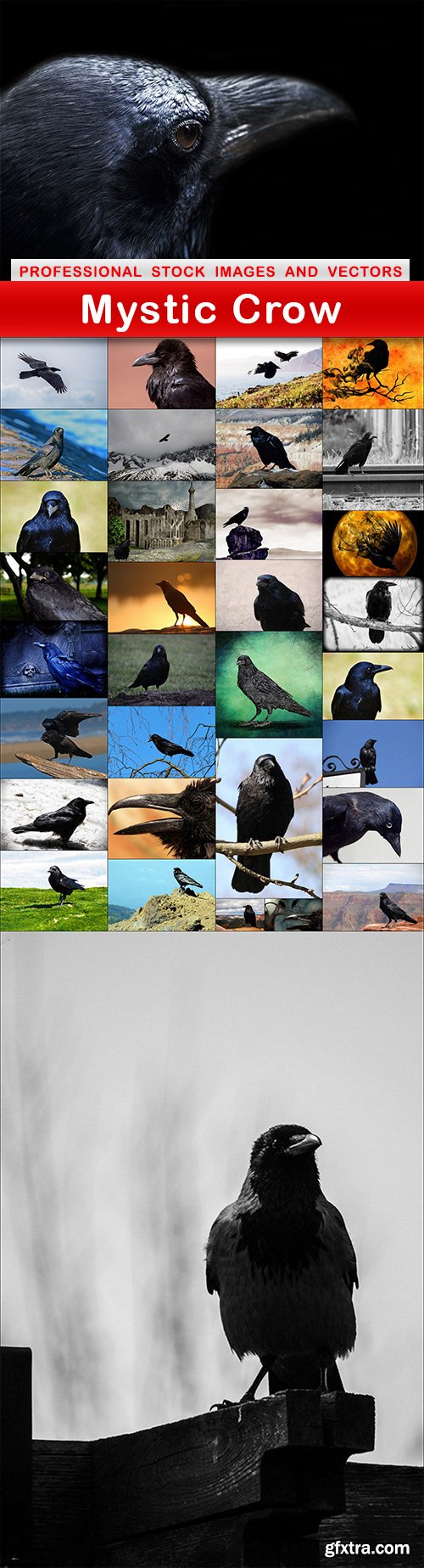 Mystic Crow - 34 UHQ JPEG