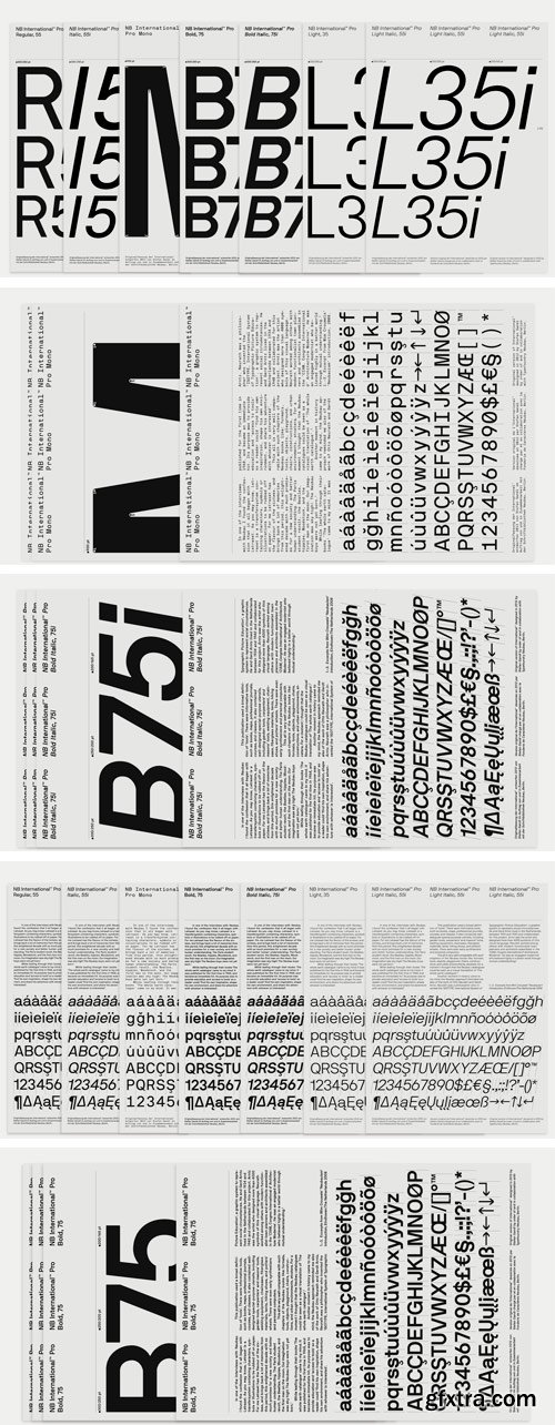 NB International Pro Font Family