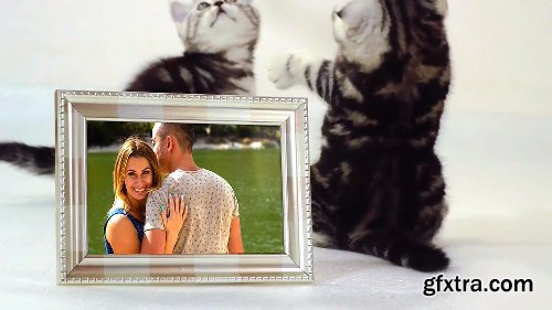 Videohive Cats Slideshow 18983291