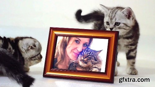 Videohive Cats Slideshow 18983291