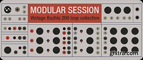 Cluster Sound Modular Session MULTIFORMAT