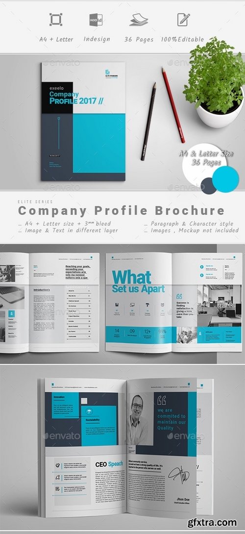 GraphicRiver - Company Profile 19361735