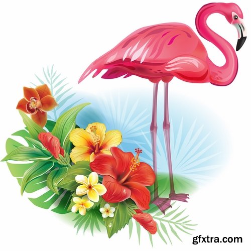 Flamingo collection of bird background background pattern of wing feather wallpaper 25 EPS