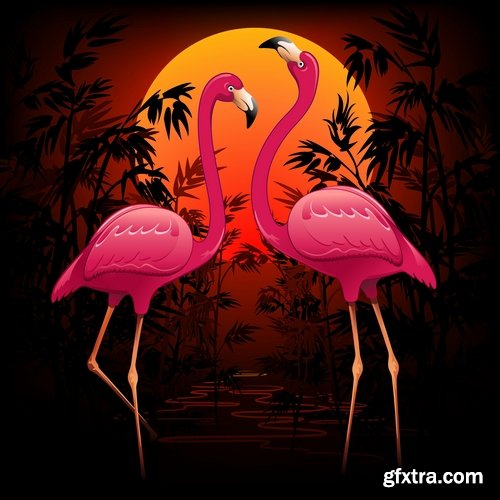 Flamingo collection of bird background background pattern of wing feather wallpaper 25 EPS