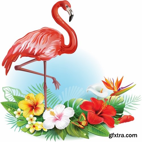 Flamingo collection of bird background background pattern of wing feather wallpaper 25 EPS