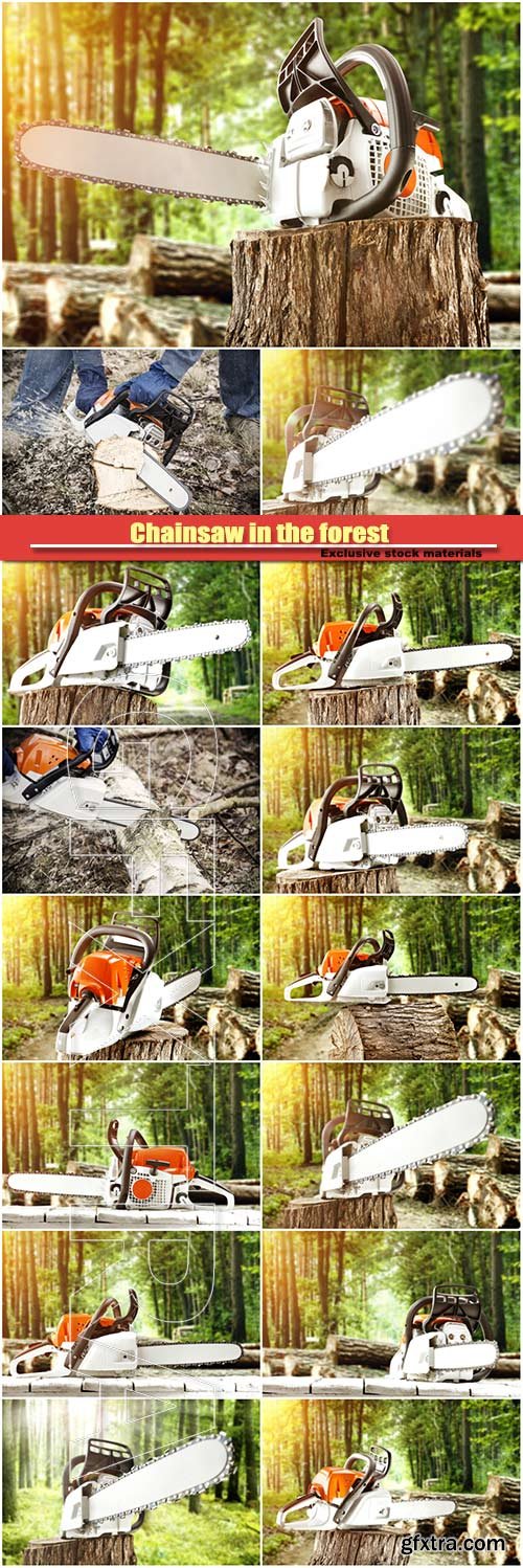 Chainsaw in the forest