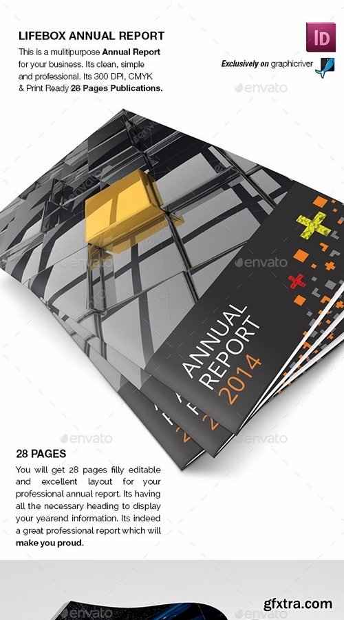 GraphicRiver - Lifebox Annual Report 9175942