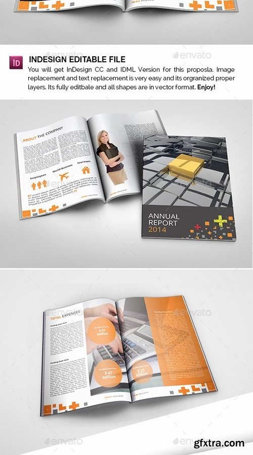 GraphicRiver - Lifebox Annual Report 9175942