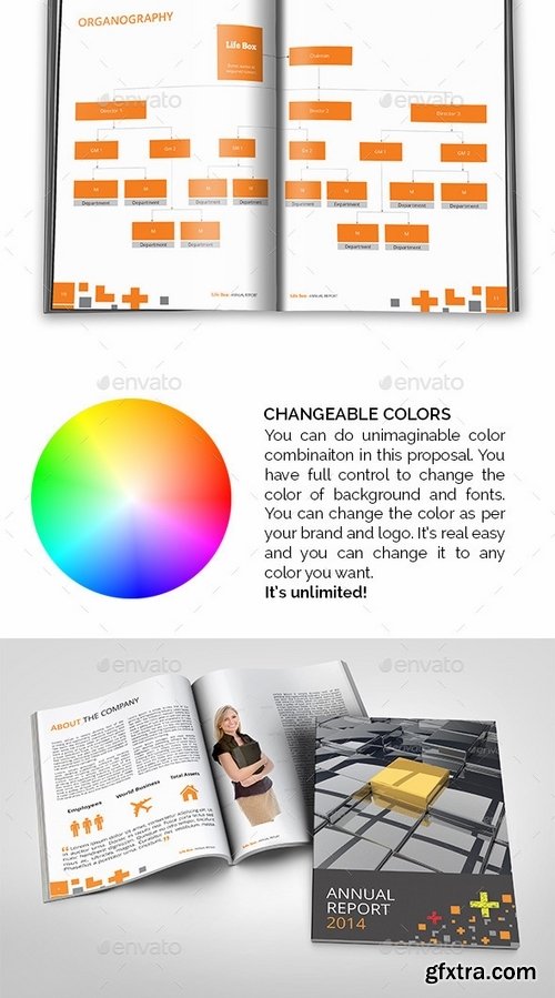 GraphicRiver - Lifebox Annual Report 9175942