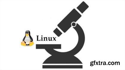 Build a free and complete Linux learning environment