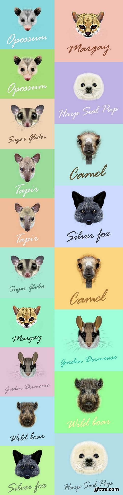 Vector Illustrated animals