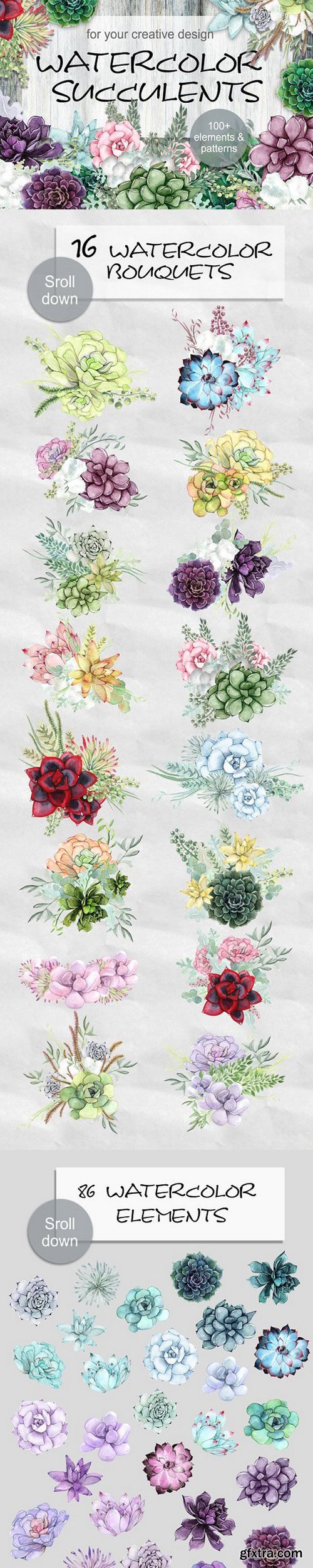 CM - Watercolor Succulents 1289698