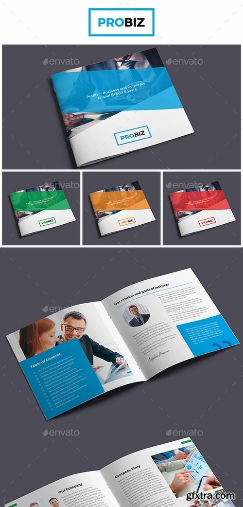 GraphicRiver - ProBiz – Business and Corporate Annual Report Square 19439606