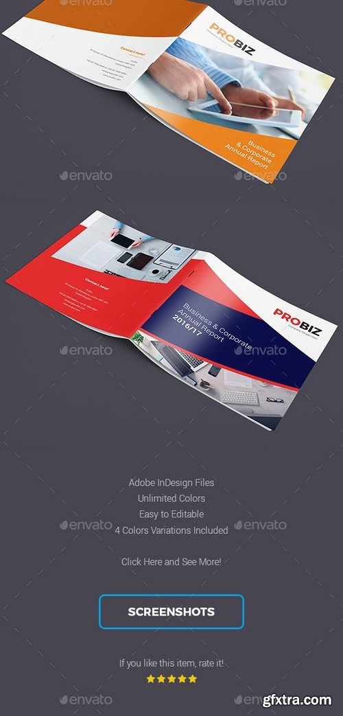 GraphicRiver - ProBiz – Business and Corporate Annual Report Square 19439606