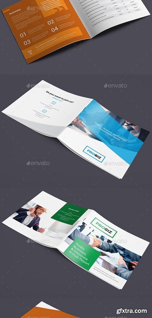 GraphicRiver - ProBiz – Business and Corporate Annual Report Square 19439606