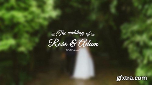 Wedding Titles After Effects Templates