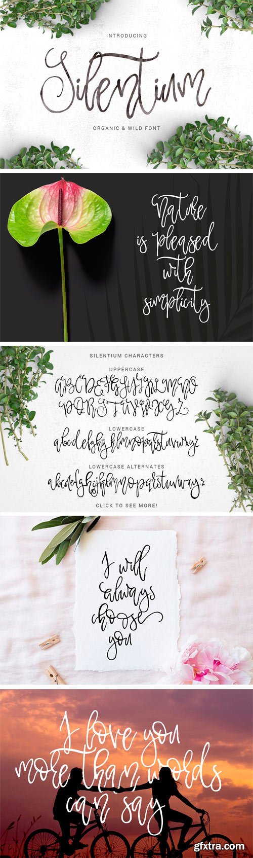 CM 1303691 - Silentium - Calligraphic Font