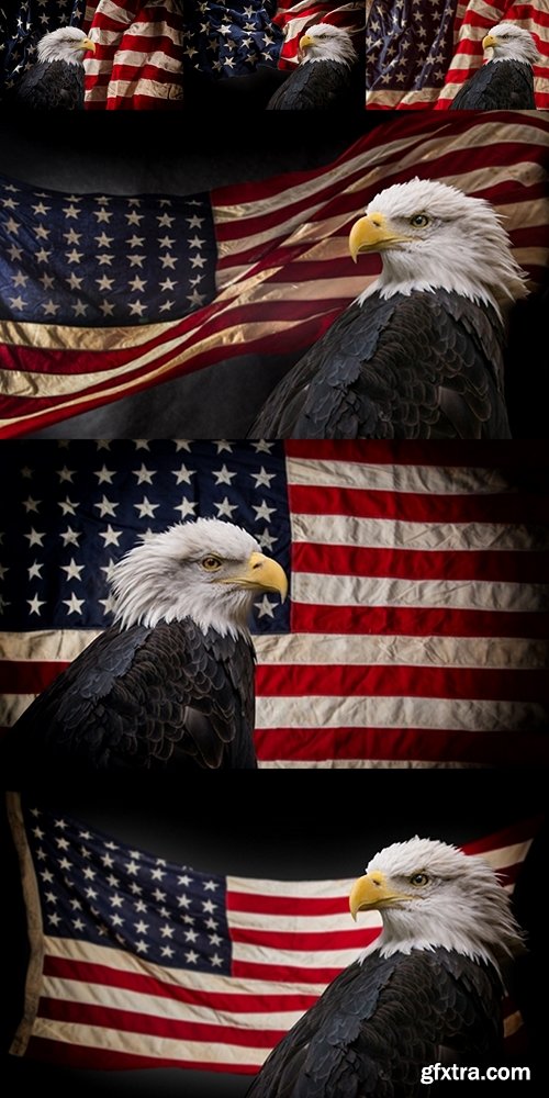 American Bald Eagle with Flag