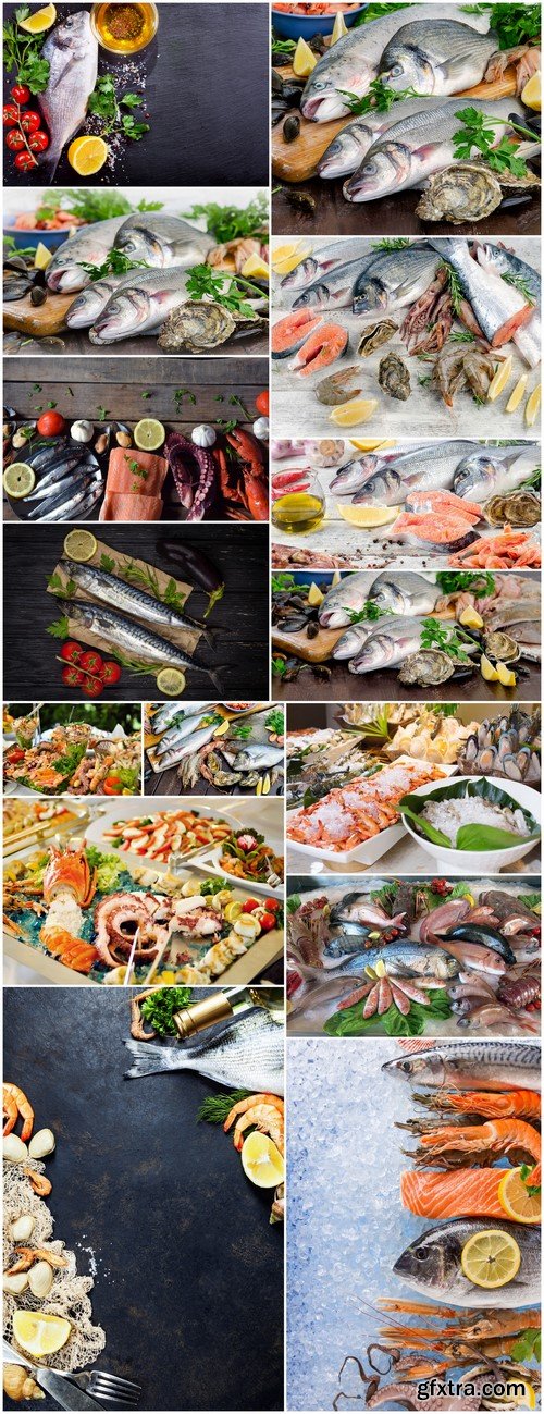 Raw seafood Healthy diet eating 15X JPEG