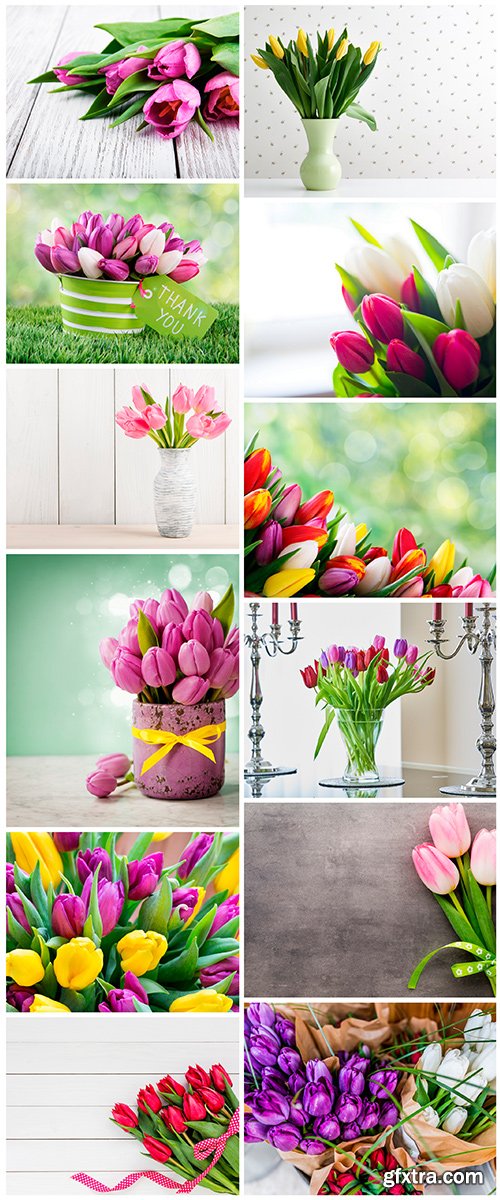 Tulip bouquet - 12UHQ JPEG