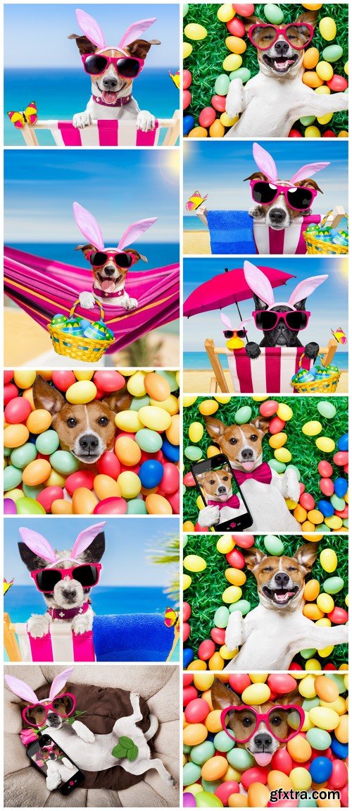 Easter bunny dog with eggs 11X JPEG