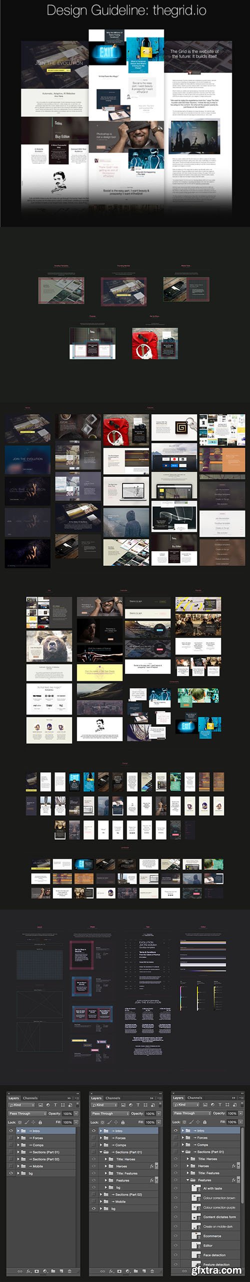 The Grid Design Guideline Website PSD Template