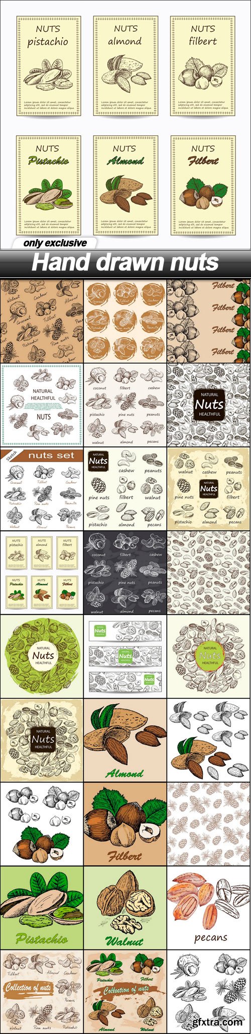 Hand drawn nuts - 27 EPS