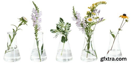 Flowers in flasks - 5 UHQ JPEG