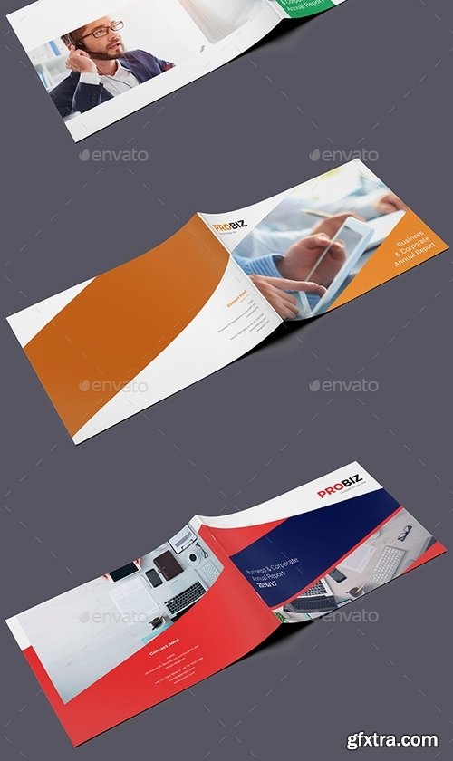 GraphicRiver - ProBiz – Business and Corporate Annual Report Horizontal 19428223