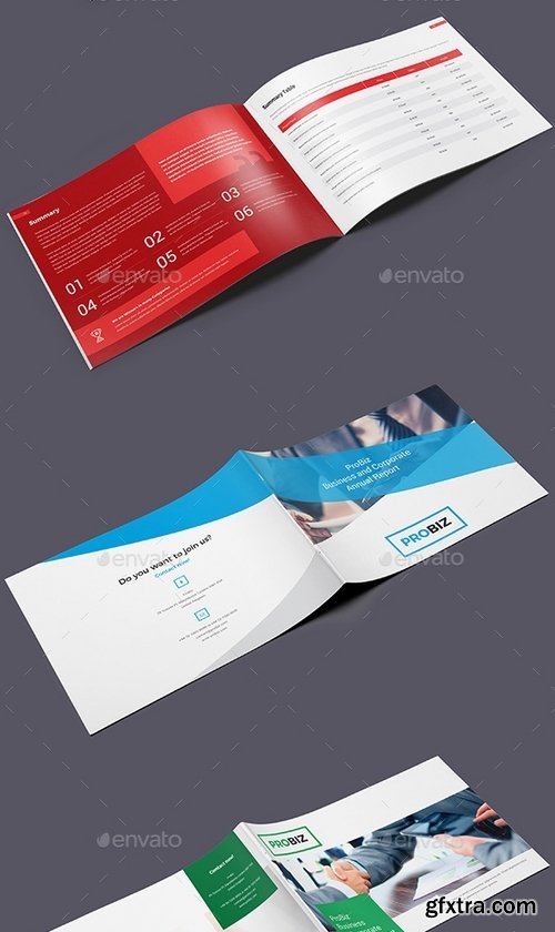 GraphicRiver - ProBiz – Business and Corporate Annual Report Horizontal 19428223