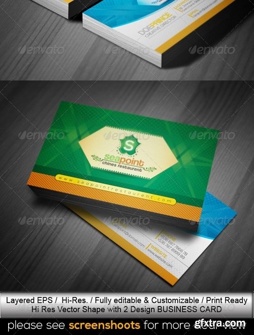 GraphicRiver - SeaPoint_Corporate Creative Business Cards 4577550