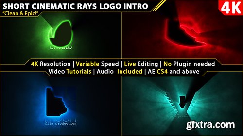 Videohive Short Cinematic Light Rays Logo Intro 18093220