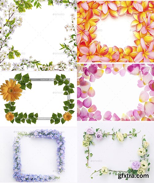 GraphicRiver 20 Flower Frame Templates 19448246