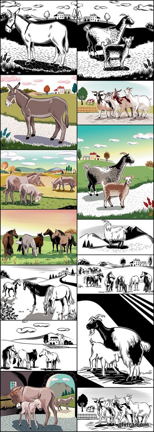 Animals in a paddock of a farm - 47 EPS