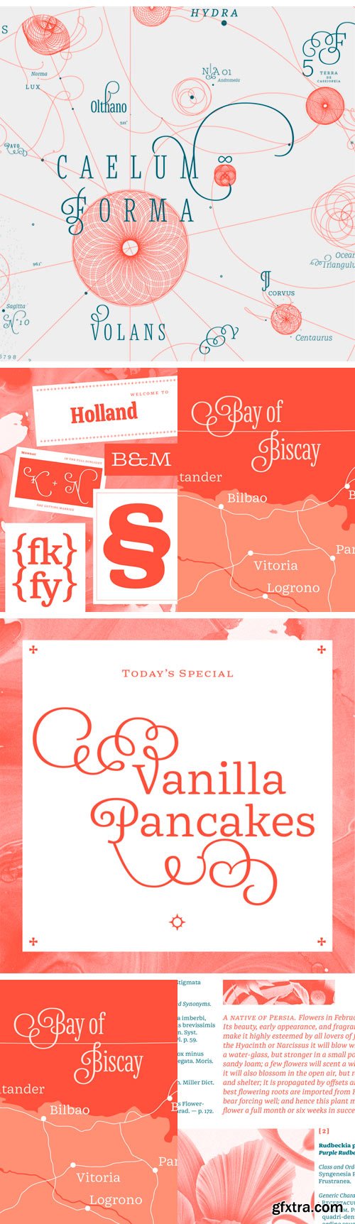 Mala Font Family