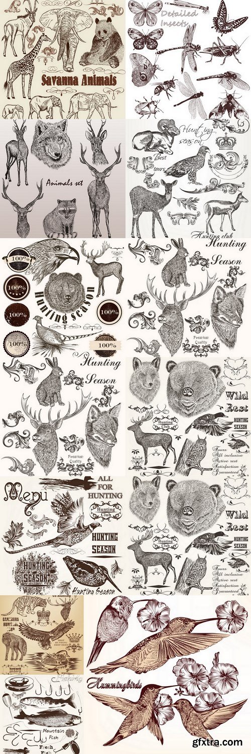 Collection of birds, animals and hand drawn ornaments Premium Vector