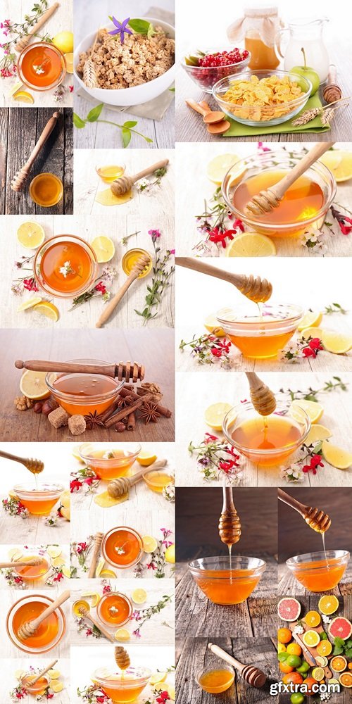 Honey with flower