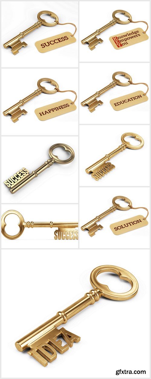 Gold Key to Success isolated on white 9X JPEG