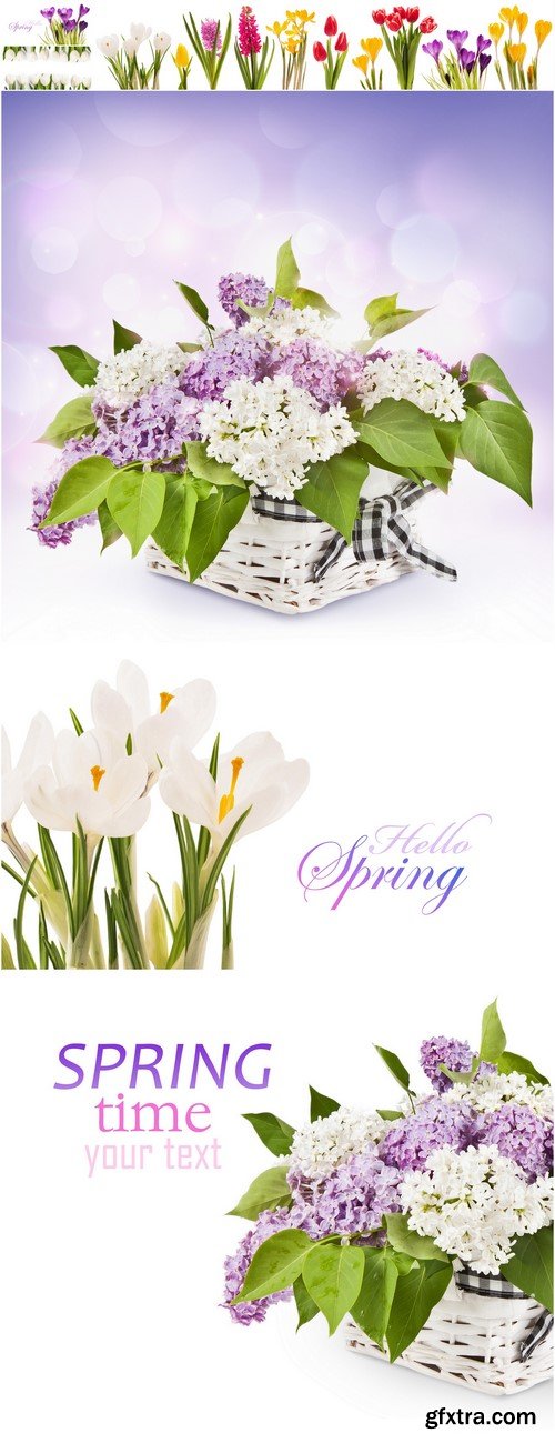 Lilac flowers in basket 6X JPEG