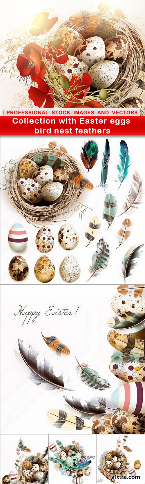 Collection with Easter eggs bird nest feathers - 6 EPS