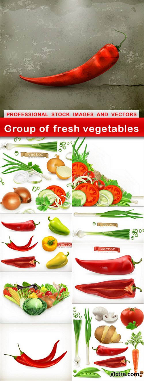 Group of fresh vegetables - 9 EPS