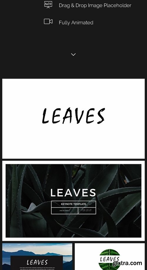 GraphicRiver - Leaves Minimal Keynote Template 19631779