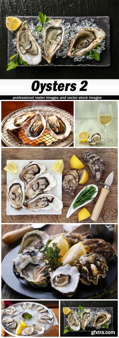 Oysters 2 - 6 UHQ JPEG