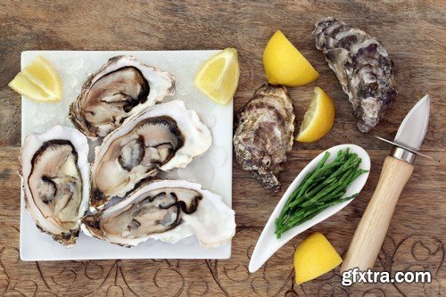 Oysters 2 - 6 UHQ JPEG