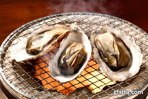 Oysters 2 - 6 UHQ JPEG