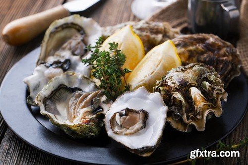 Oysters 2 - 6 UHQ JPEG