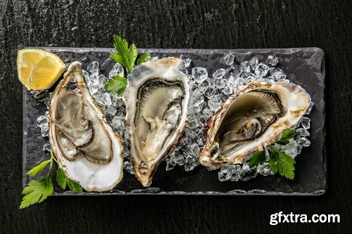 Oysters 2 - 6 UHQ JPEG