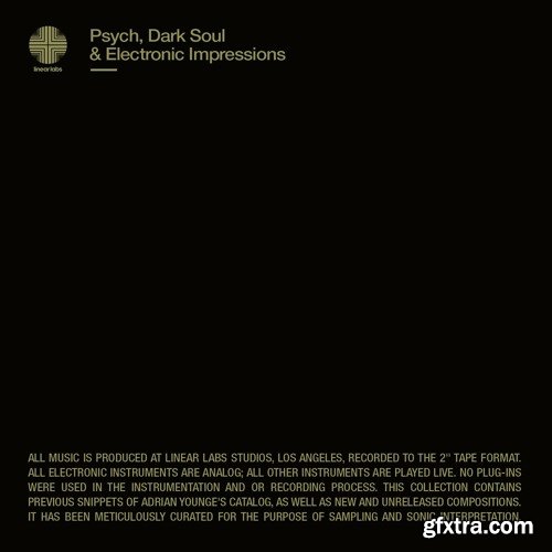 Adrian Younge Psych Dark Soul And Electronic Impressions WAV-DISCOVER