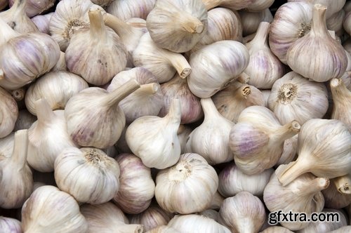 Collection garlic smell seasoning spices grain root vegetables dishes with garlic spicy food 25 HQ Jpeg